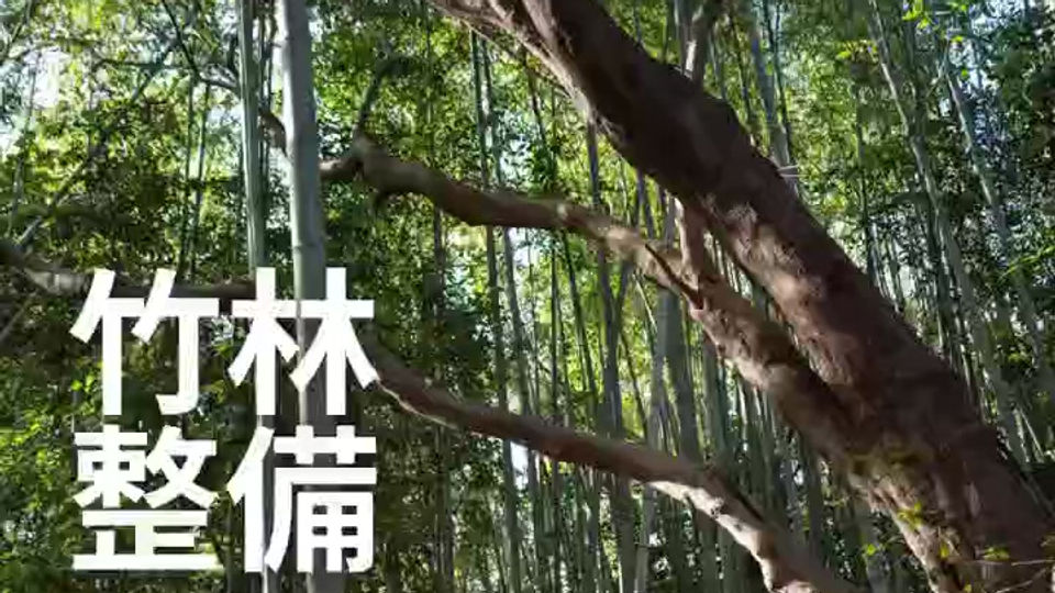 Sustainable and Valuable Japanese Mountains|SORA